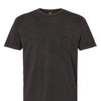 NL ADT SOFTWASH S/S T