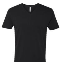 NL MN 100% FITTD V S/S T