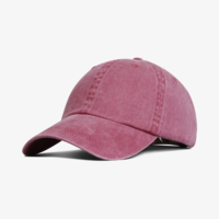 FARENHEIT PIG DYE CAP