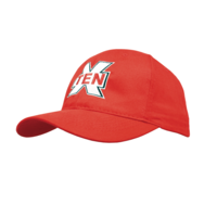 HP BRUSHD COT 6 PNL CP