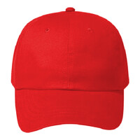 OTTO CAP 6 Panel Low Profile Baseball Cap